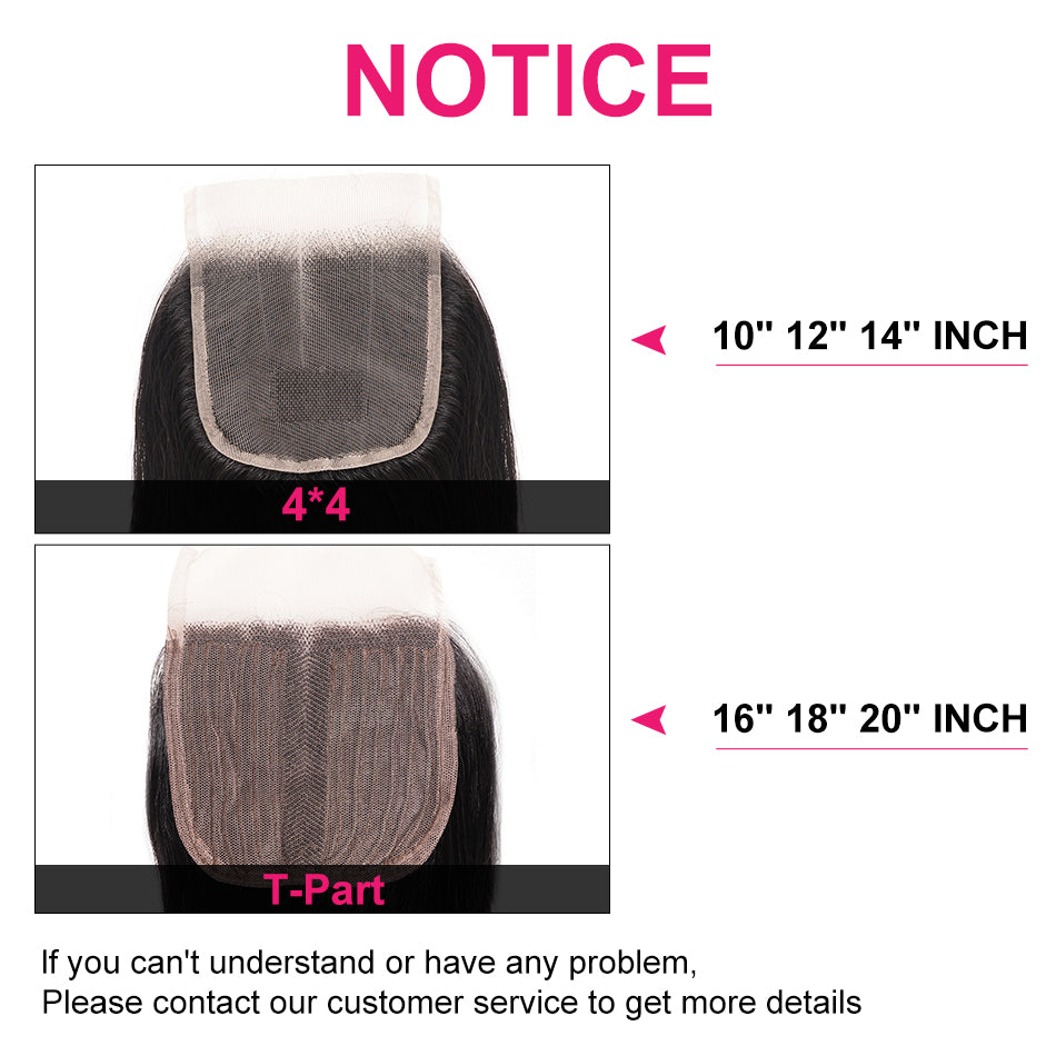 Straight Brizilian Virgin Human Hair | Natural Black 5*5 HD Lace Closure Swiss Lace 1 PCS | Eleway Hair Wigs